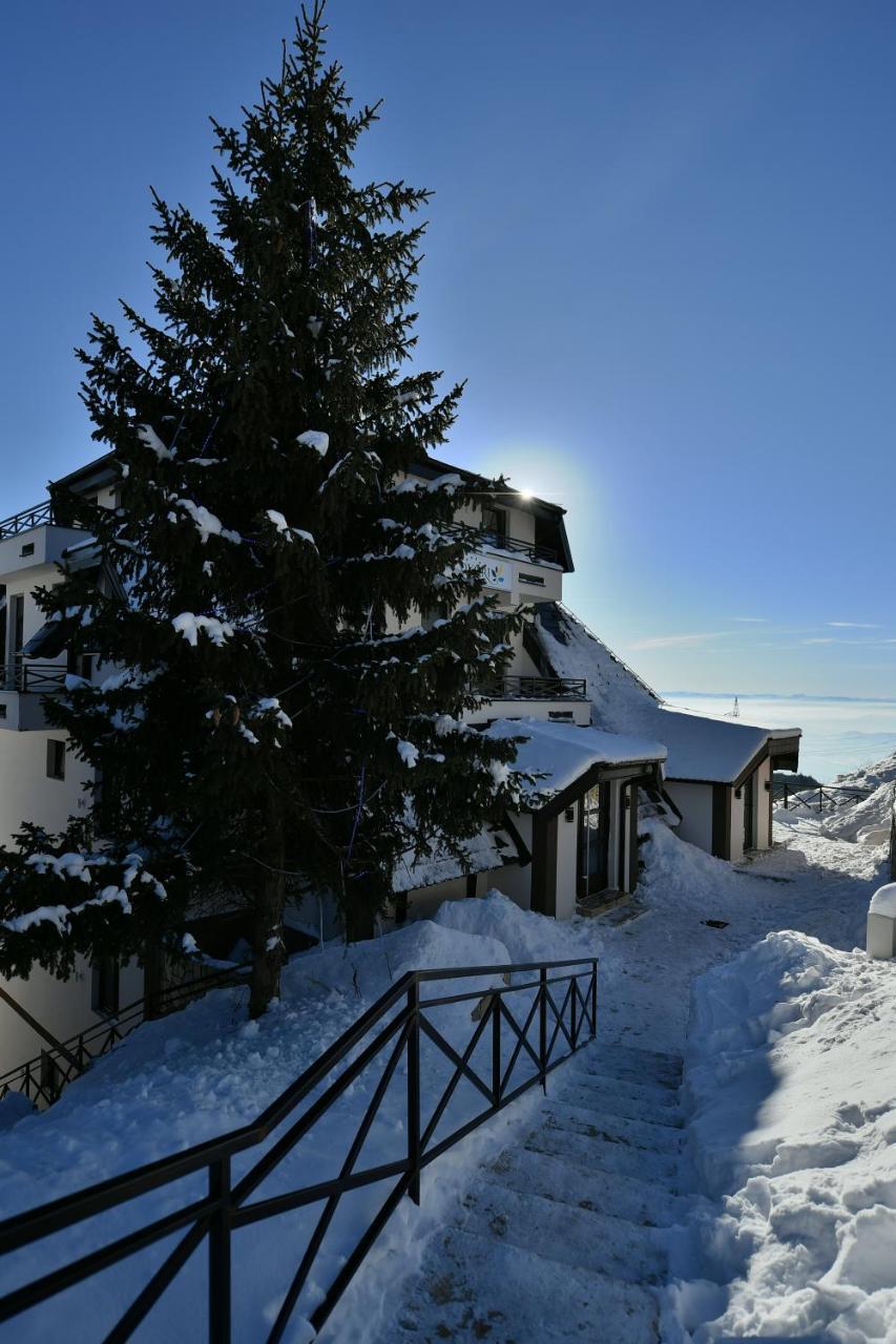 Apartman D52 Dvori Kopaonik Exterior foto